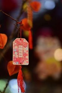 xóc đĩa trực tuyến Nohu